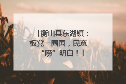 衡山县东湖镇：板凳一圈围，民意“唠”明白！